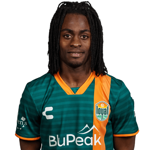 Ronaldo Damus cutout photo