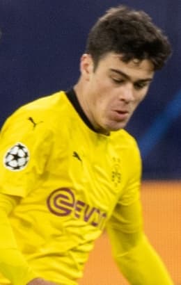 Giovanni Reyna cutout photo