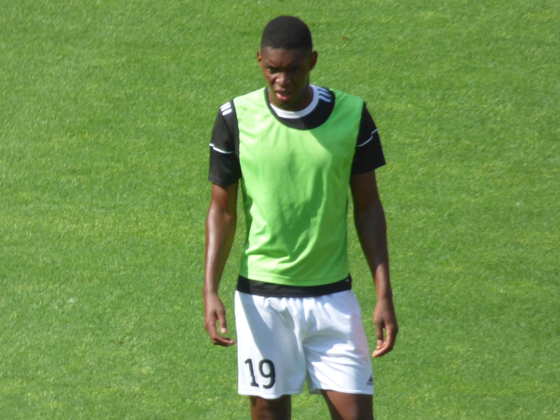 Formose Mendy cutout photo