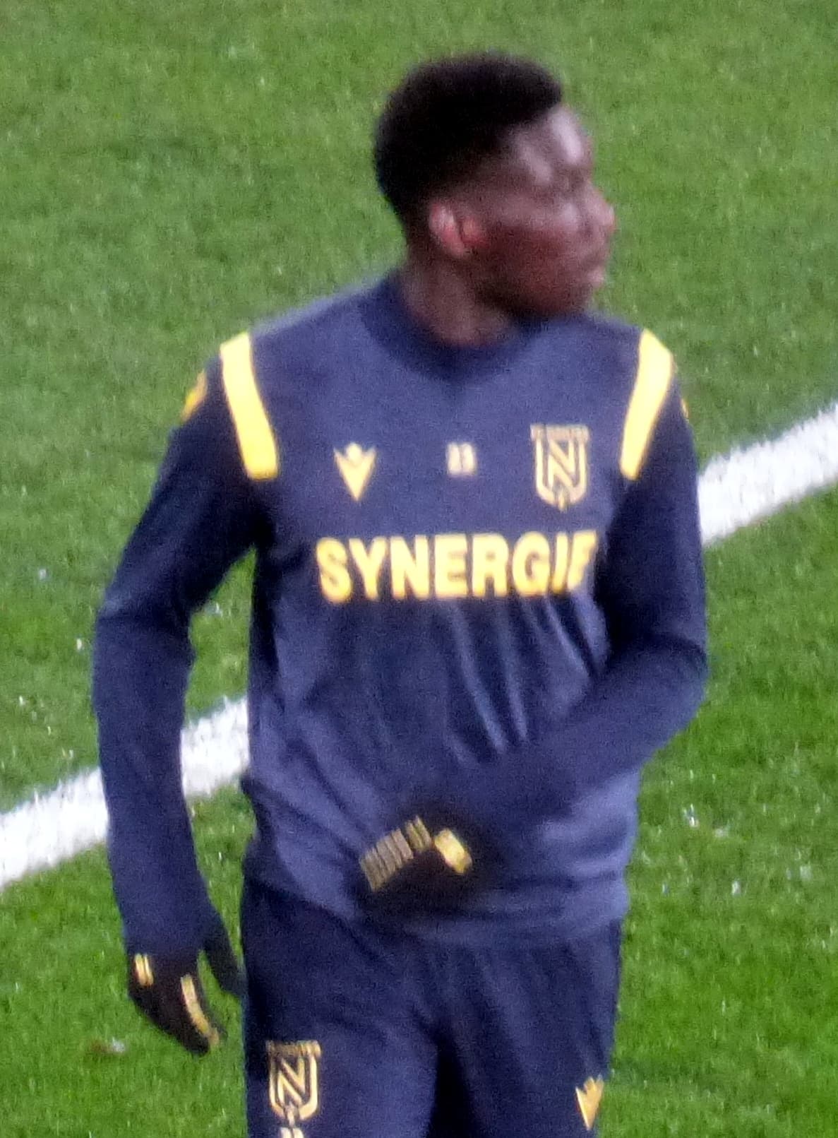 Randal Kolo Muani cutout photo