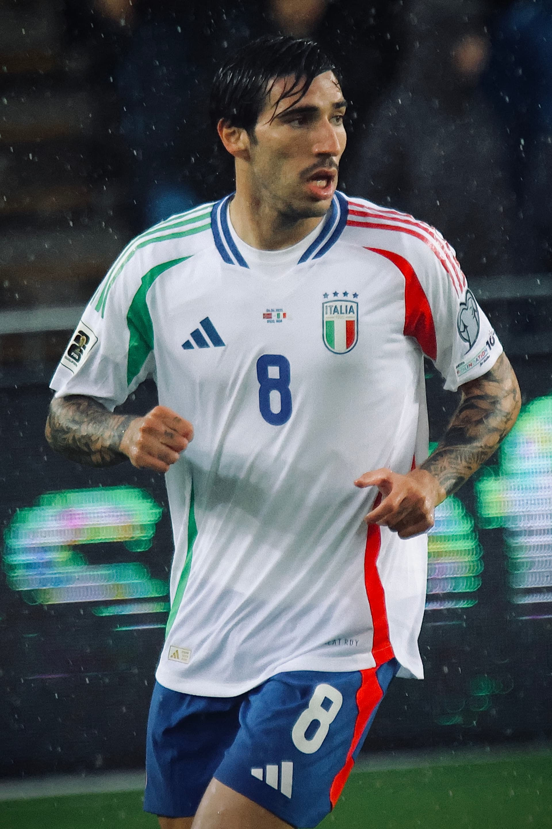 Sandro Tonali cutout photo