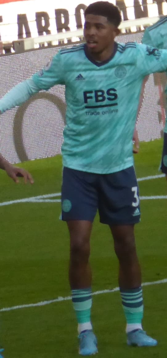 Wesley Fofana cutout photo