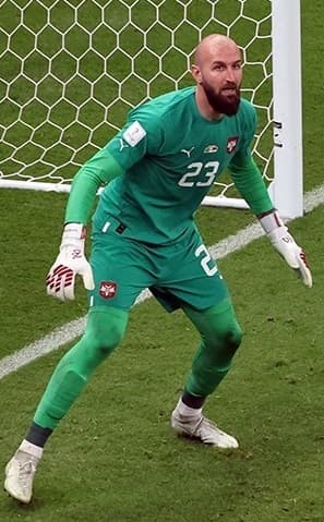 Vanja Milinković-Savić cutout photo
